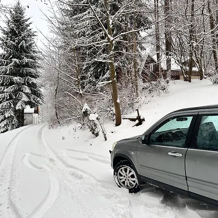 Srub V Bolkovském údolí