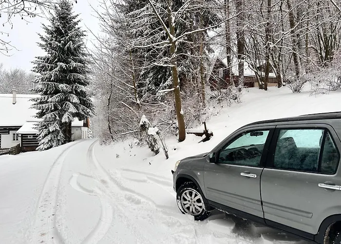 Srub V Bolkovském údolí